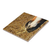 Pferdekeule Fliese (Seite)