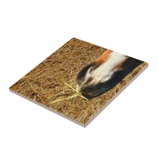 Pferdekeule Fliese (Seite)