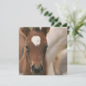 Pferdekindereinladung Einladung (Stehend Vorderseite)