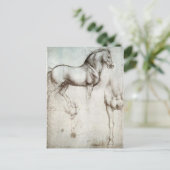Pferdekizze Postkarte (Stehend Vorderseite)