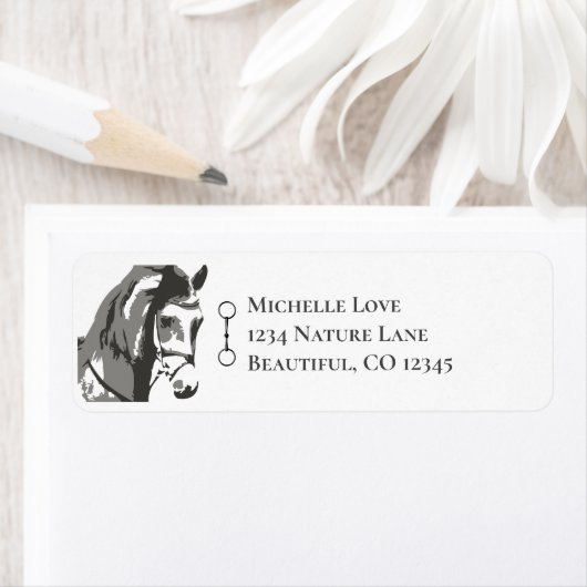 Pferdekizze und Snaffle-Bit in grauer Adresse (Insitu)