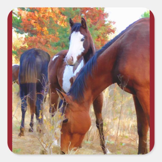 Pferdekleber Quadratischer Aufkleber (Vorderseite)