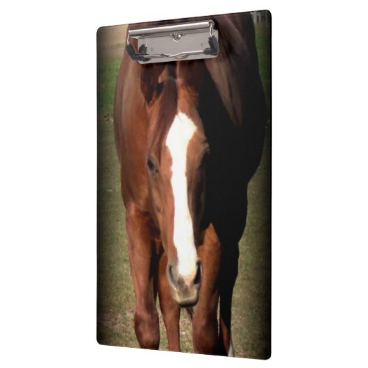 Pferdeklemmbrett Klemmbrett (Links)