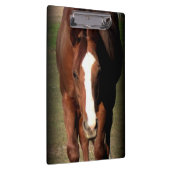 Pferdeklemmbrett Klemmbrett (Rechts)