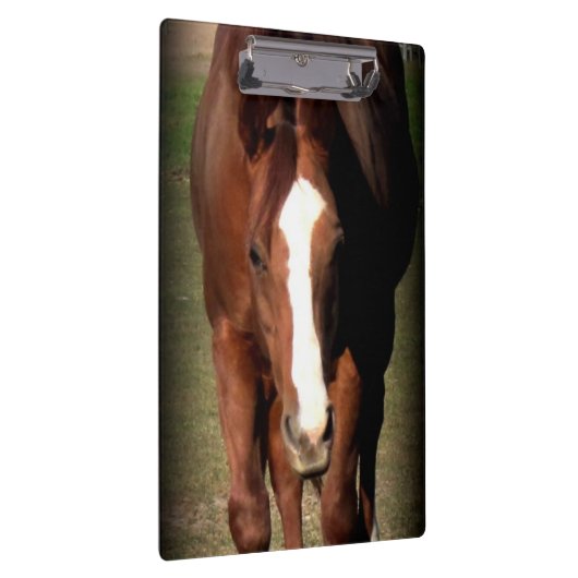 Pferdeklemmbrett Klemmbrett (Rechts)