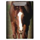 Pferdeklemmbrett Klemmbrett (Vorderseite)