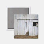 Pferdeklemme Kopf aus Barn Fenster Magnet (Vorderseite/Rückseite)