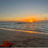 Pferdekochbox Metall Brotdose