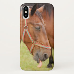 Pferdekopf 002 iPhone x hülle
