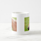 Pferdekopf 003 kaffeetasse (Mittel)