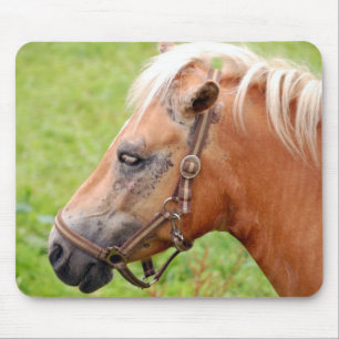 Pferdekopf 003 mousepad