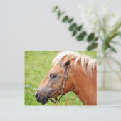 Pferdekopf 003 postkarte (Stehend Vorderseite)