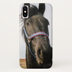 Pferdekopf 007 iPhone x hülle