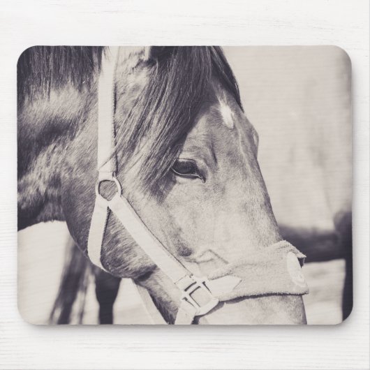 Pferdekopf 009 mousepad (Vorne)