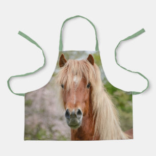 Pferdekopf Aegidienberger quer isländisch und Paso Schürze