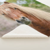 Pferdekopf Aegidienberger quer isländisch und Paso Sherpadecke (3/4)