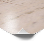 Pferdekopf am Strand Außenbanks North Carolina Fotodruck (Ecke)