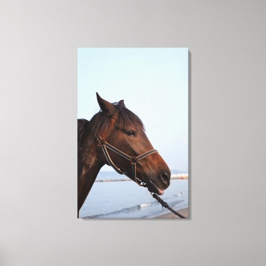 Pferdekopf Leinwanddruck (Vorderseite)