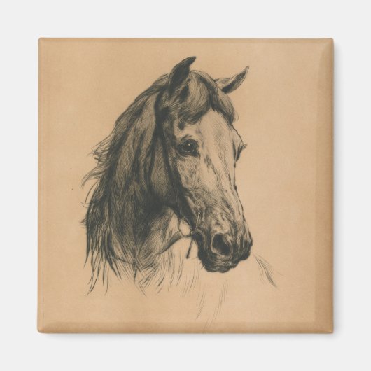 Pferdekopf (von Heywood Hardy) Magnet (Vorne)