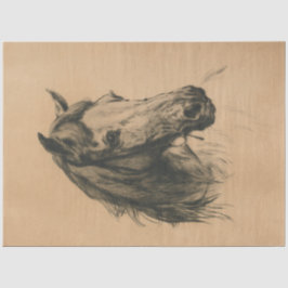 Pferdekopf (von Heywood Hardy) Seidenpapier