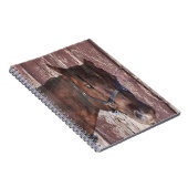 Pferdekopf Western Schau ihm in die Augen. Notizblock (Rechte Seite)