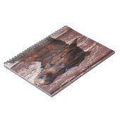 Pferdekopf Western Schau ihm in die Augen. Notizblock (Linke Seite)