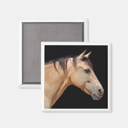 Pferdekopfmagnet Magnet (Vorderseite/Rückseite)