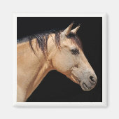 Pferdekopfmagnet Magnet (Vorne)