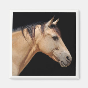 Pferdekopfmagnet Magnet