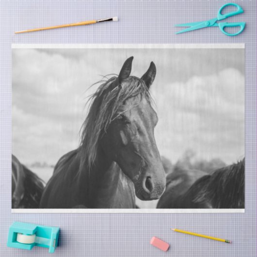 Pferdekopfpapier Seidenpapier (Basteln)