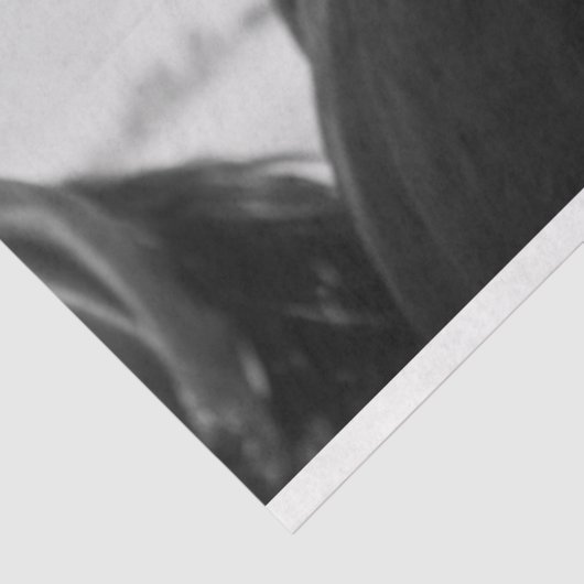 Pferdekopfpapier Seidenpapier (Ausschnitt)