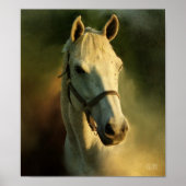 Pferdekopfportriat Poster (Vorne)