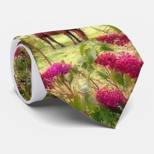 PferdeKrawatte Krawatte (Gerollt)