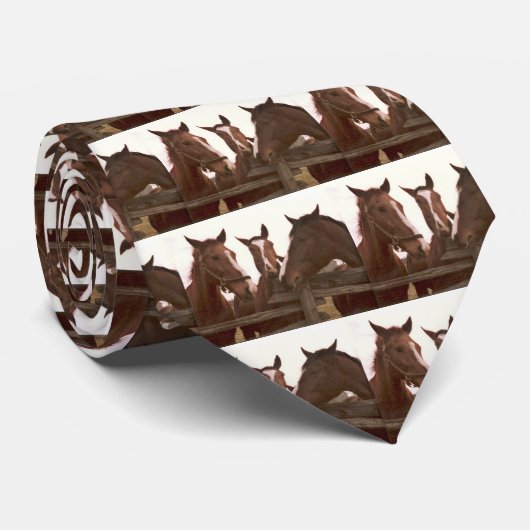 PferdeKrawatte Krawatte (Gerollt)