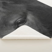 Pferdekrümmung Sherpadecke (3/4)