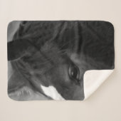 Pferdekrümmung Sherpadecke (Vorderseite (Horizontal))