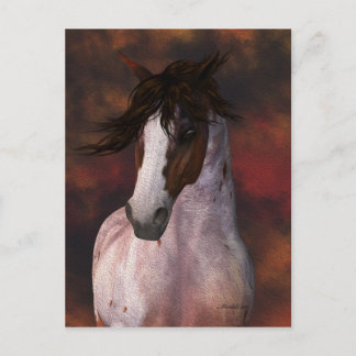 Pferdekunst, Pferdepostkarte Postkarte