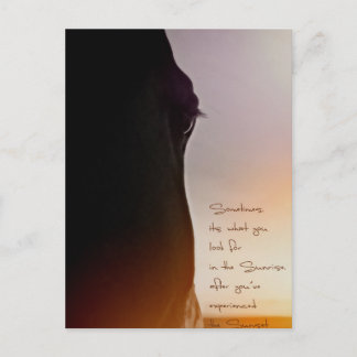 Pferdekunst und inspirierend Zitat Postkarte