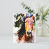 *~* Pferdekünstlerische Pferde AR22 Künstlerische Postkarte (Stehend Vorderseite)