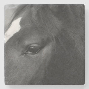 Pferdeküste Steinuntersetzer