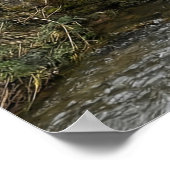 Pferdekutsche auf einer Steinbrücke Poster (Ecke)