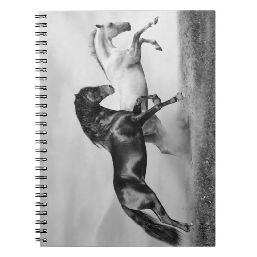 Pferdelauf Notizblock (Vorderseite)