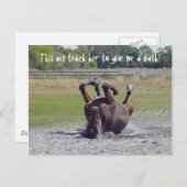Pferdelaufkarte Postkarte (Vorne/Hinten)