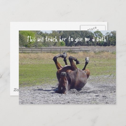 Pferdelaufkarte Postkarte (Vorne/Hinten)