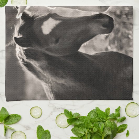 PferdeLiebe Geschirrtuch (Gefaltet)