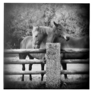 PferdeLiebe - Paar Pferde in liebevoller Umarmung Fliese