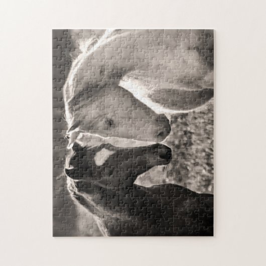 PferdeLiebe Puzzle (Vertikal)