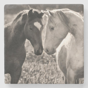 PferdeLiebe Steinuntersetzer