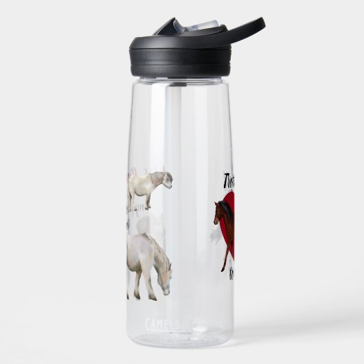 Pferdeliebender Lehrer Trinkflasche (Links)