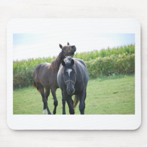 Pferdeliebhaber Mousepad
